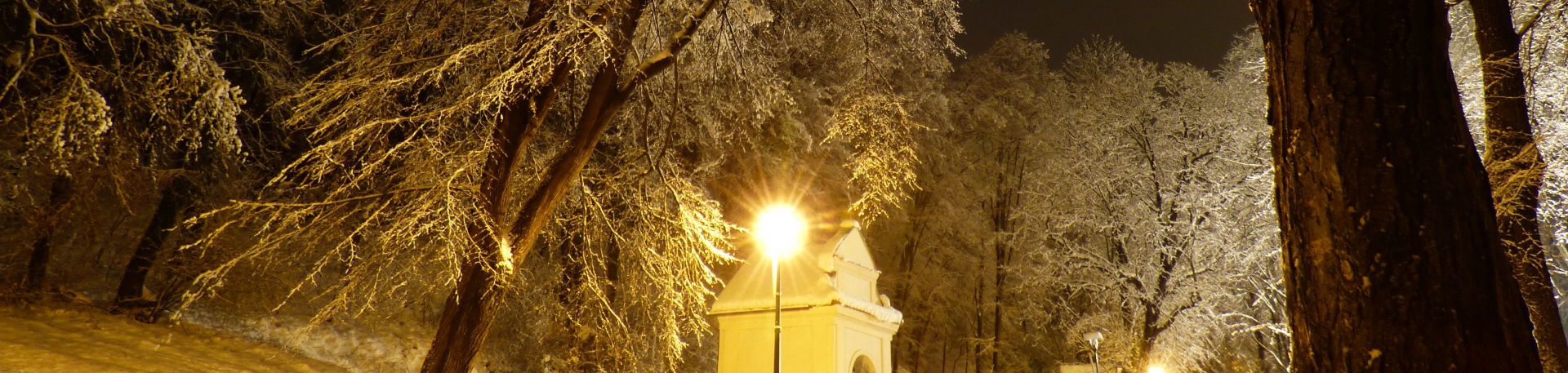 okolie-zasnežený park